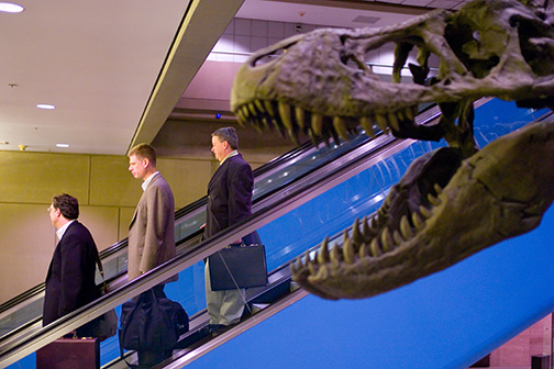 Travelers pass a Tyrannosaurus Rex display at Pittsburgh International Airport advertising the Carnegie Museum of Natural History. © Kevin Moloney, 2007.